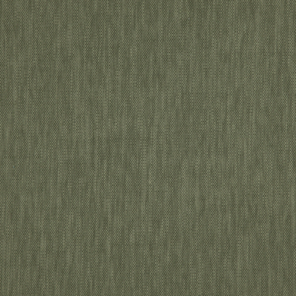 Madeira Moss