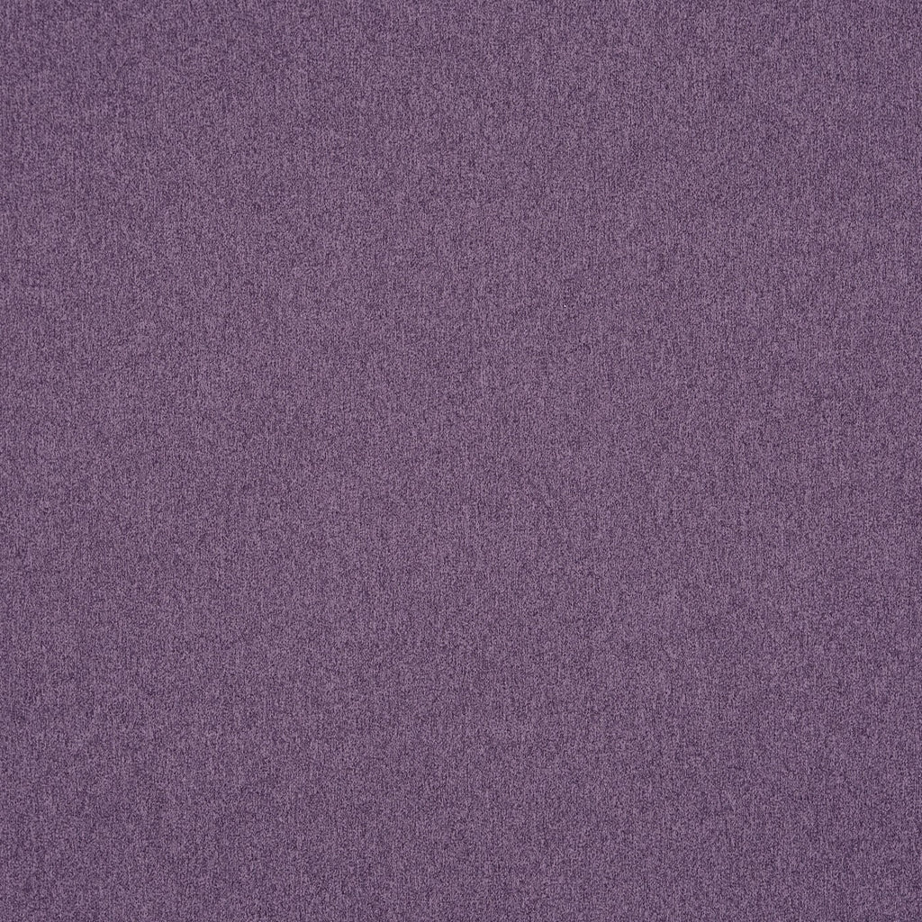 Dusk Heliotrope