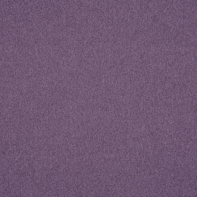 Dusk Heliotrope
