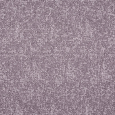 Muse Heliotrope