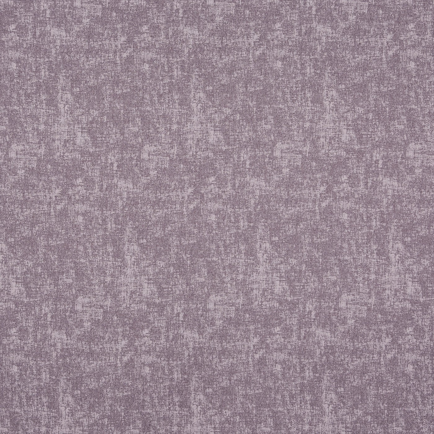 Muse Heliotrope