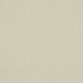 Trace Parchment