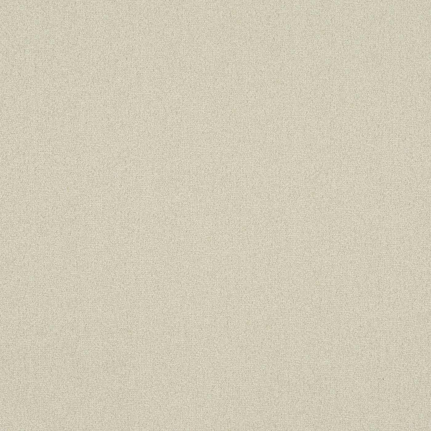 Trace Parchment