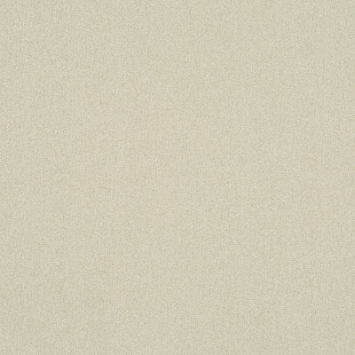 Trace Parchment