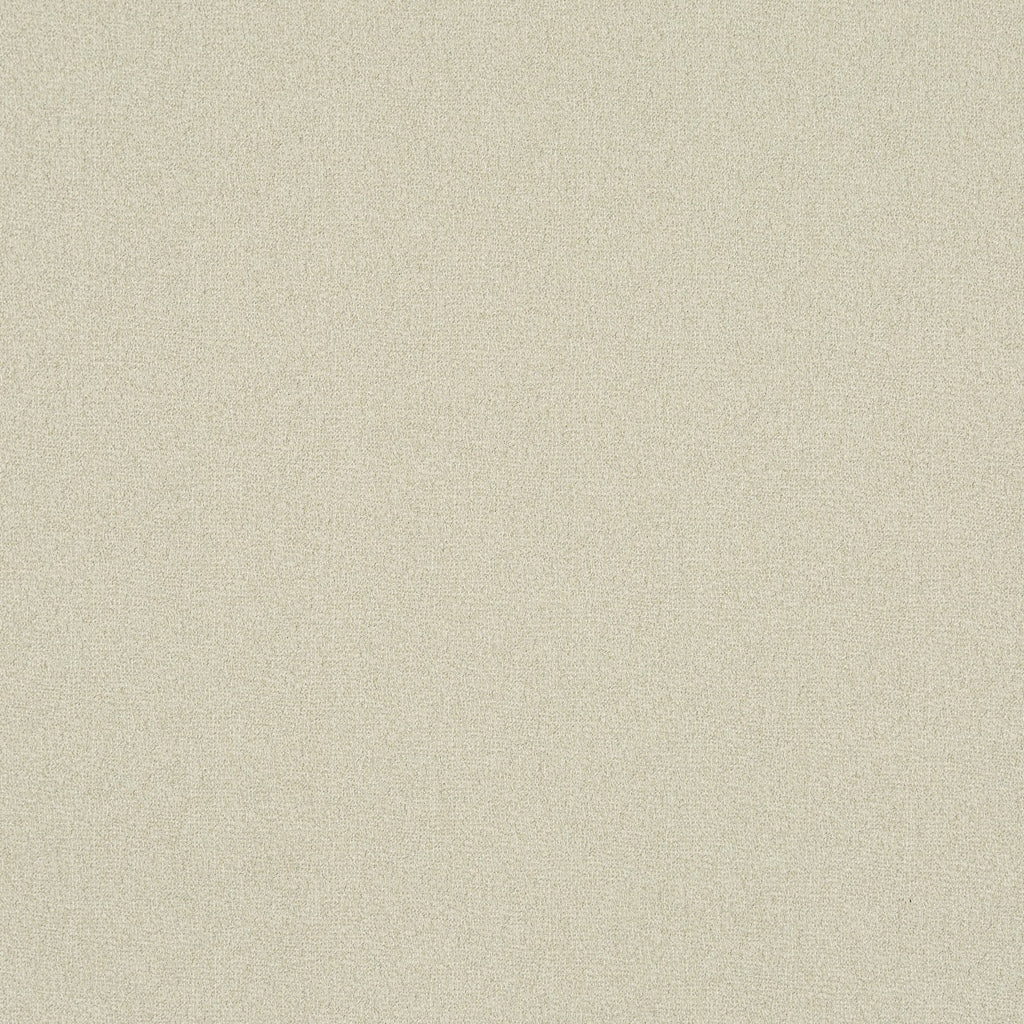 Trace Parchment