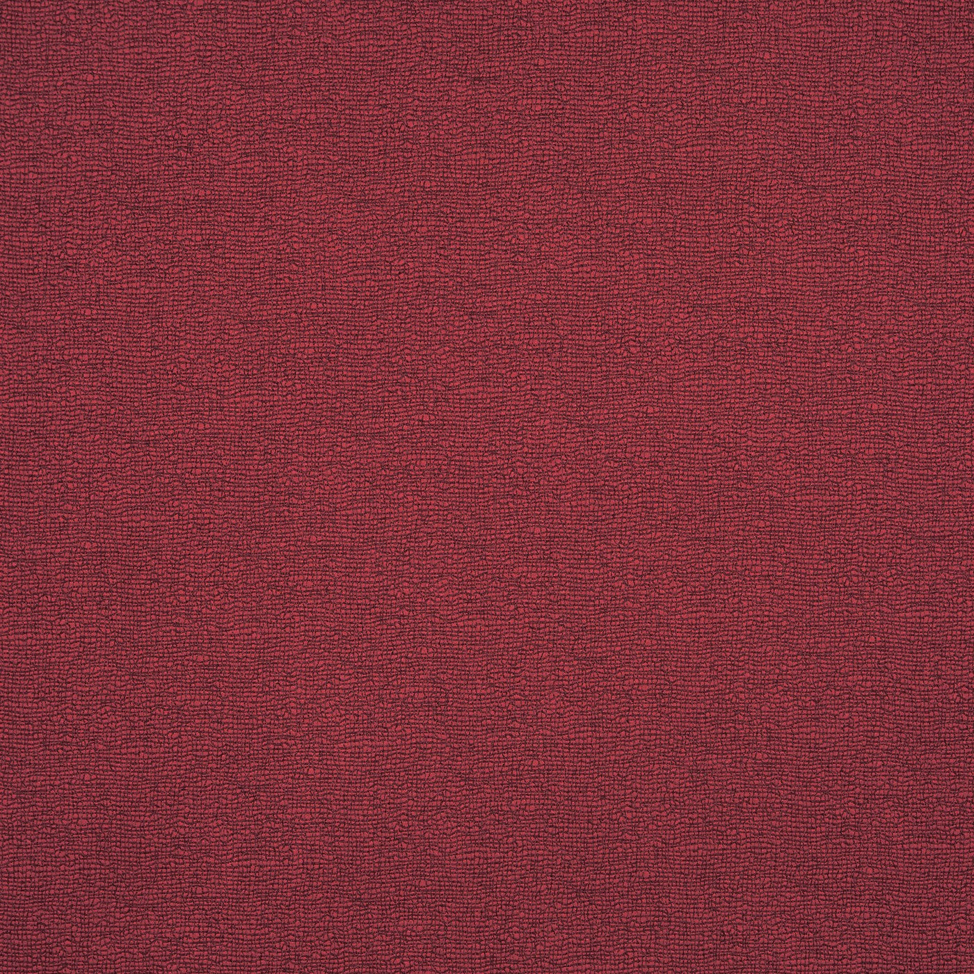 Trace Cranberry