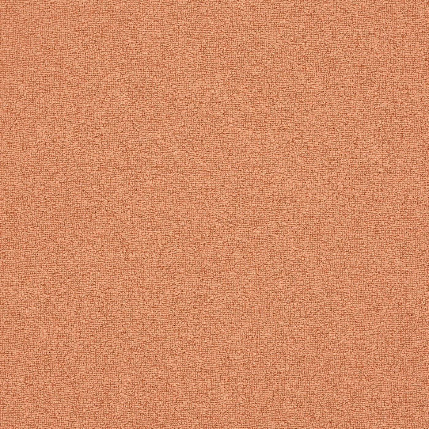 Trace Tangerine