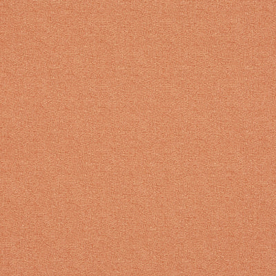 Trace Tangerine