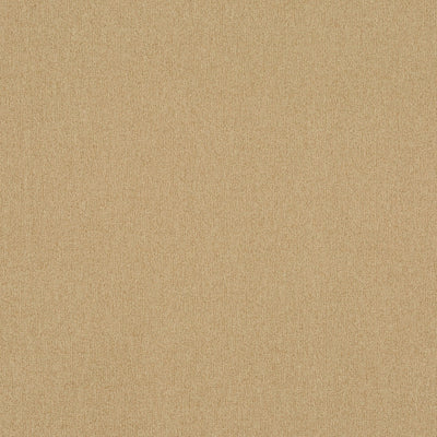 Trace Maize