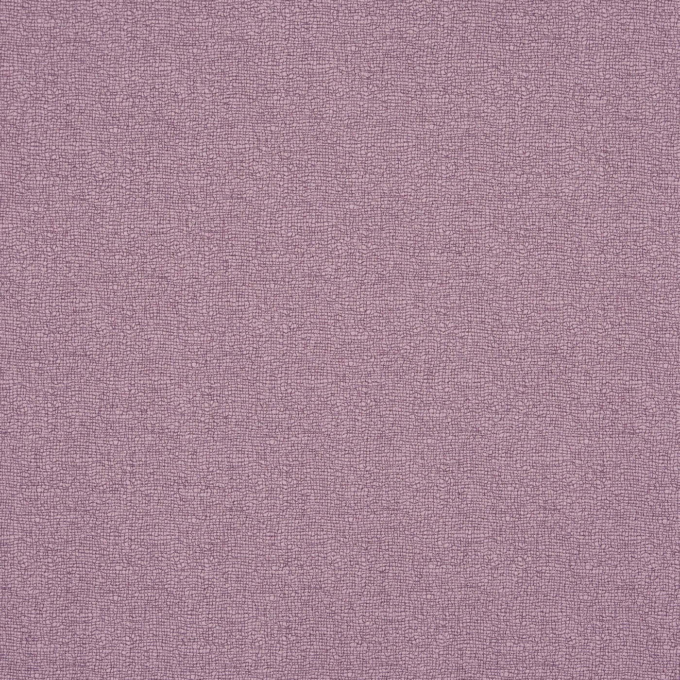 Trace Heliotrope
