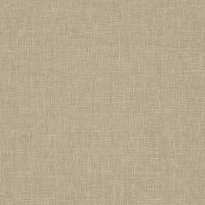 Iceland Parchment