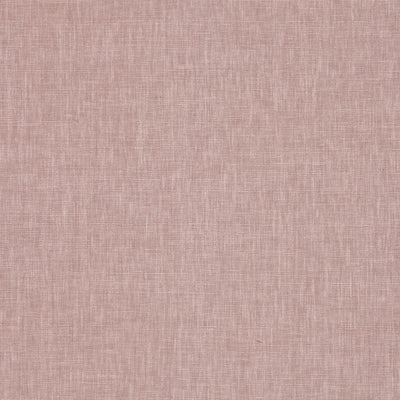 Iceland Plaster