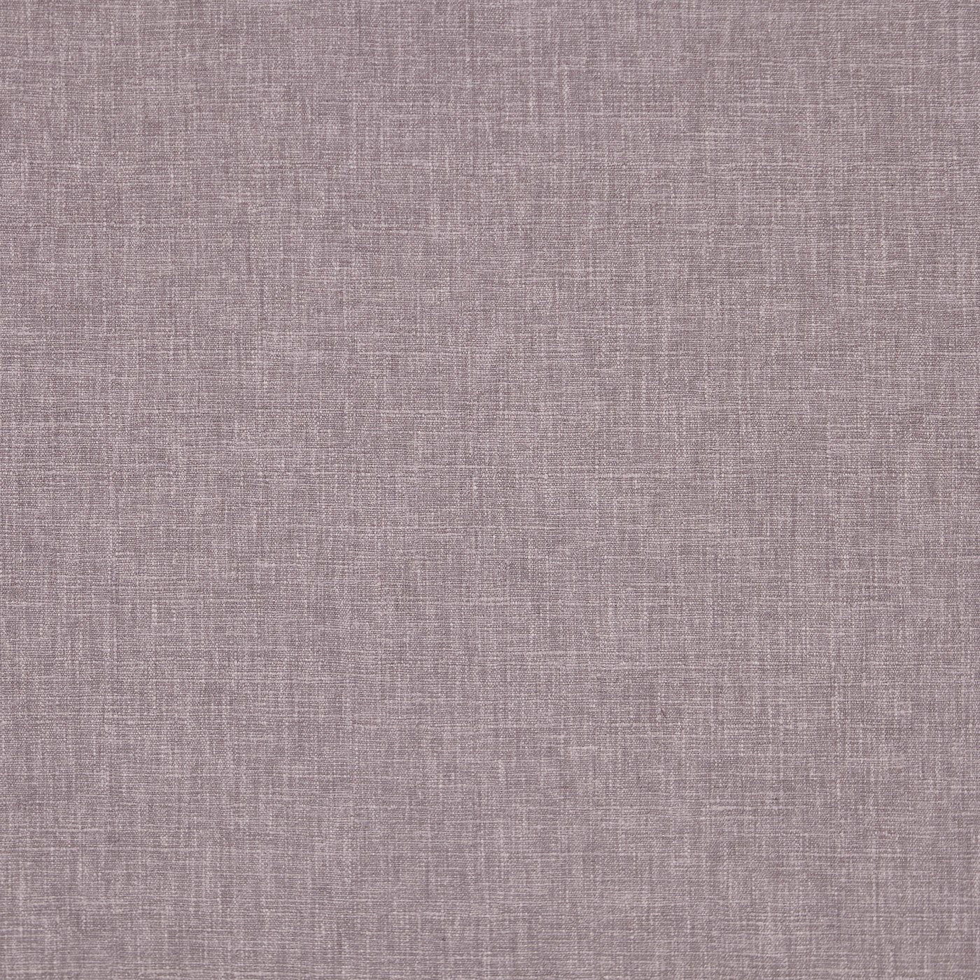 Iceland Mauve