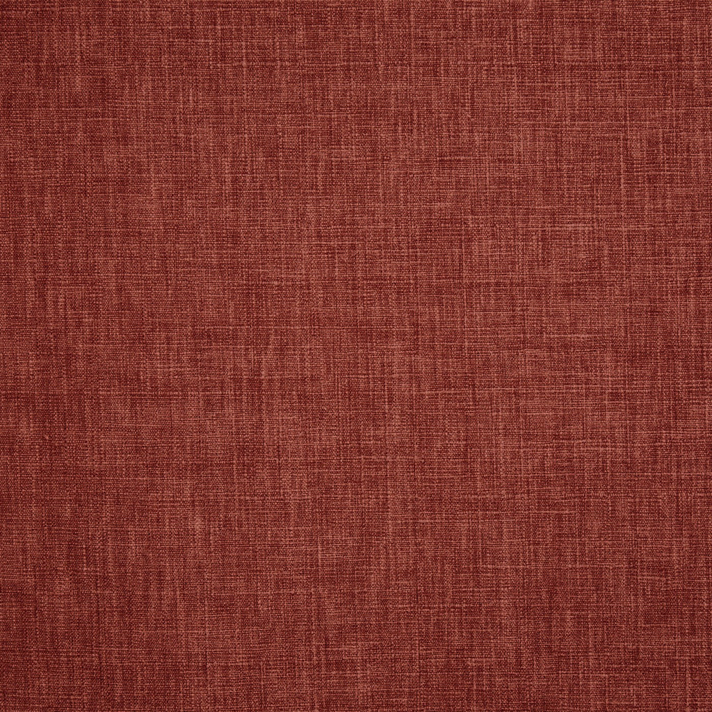 Iceland Chestnut