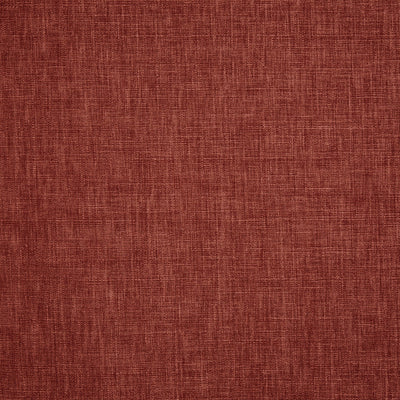 Iceland Chestnut