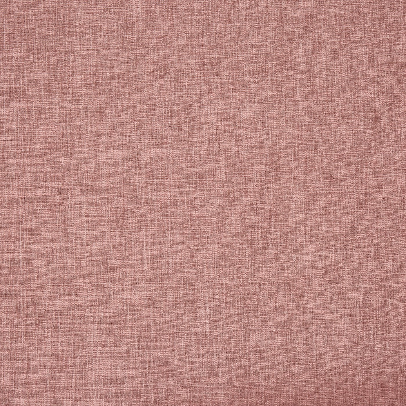 Iceland Pale Rosehip
