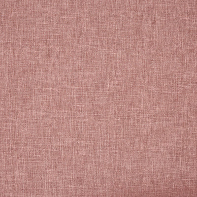 Iceland Pale Rosehip