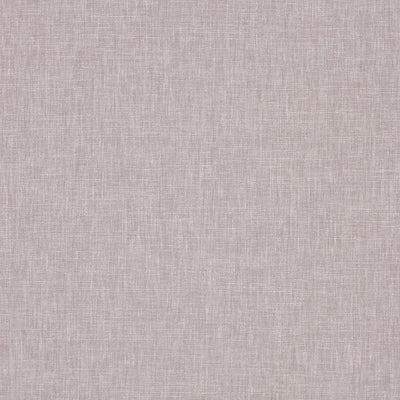 Iceland Ash Rose