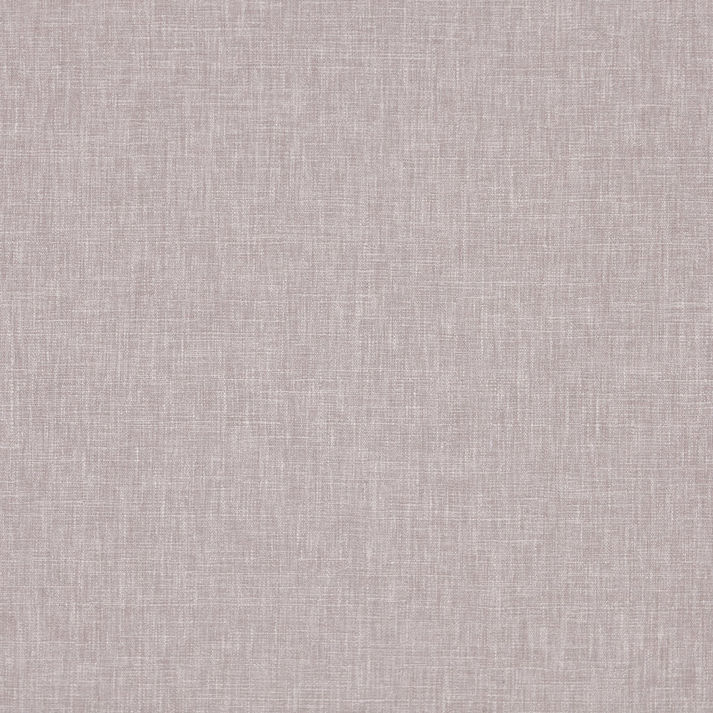 Iceland Ash Rose
