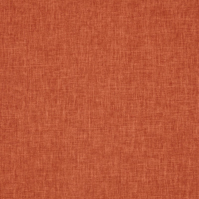 Iceland Clementine