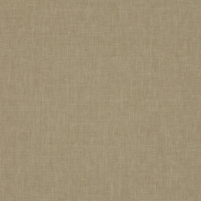 Iceland Sandstone