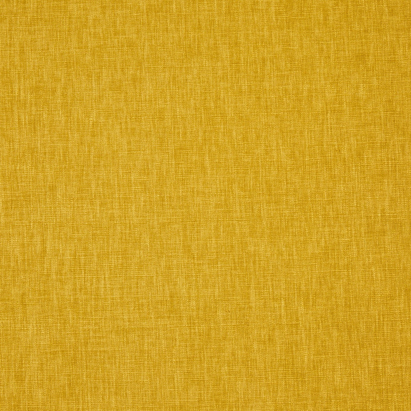 Iceland Saffron