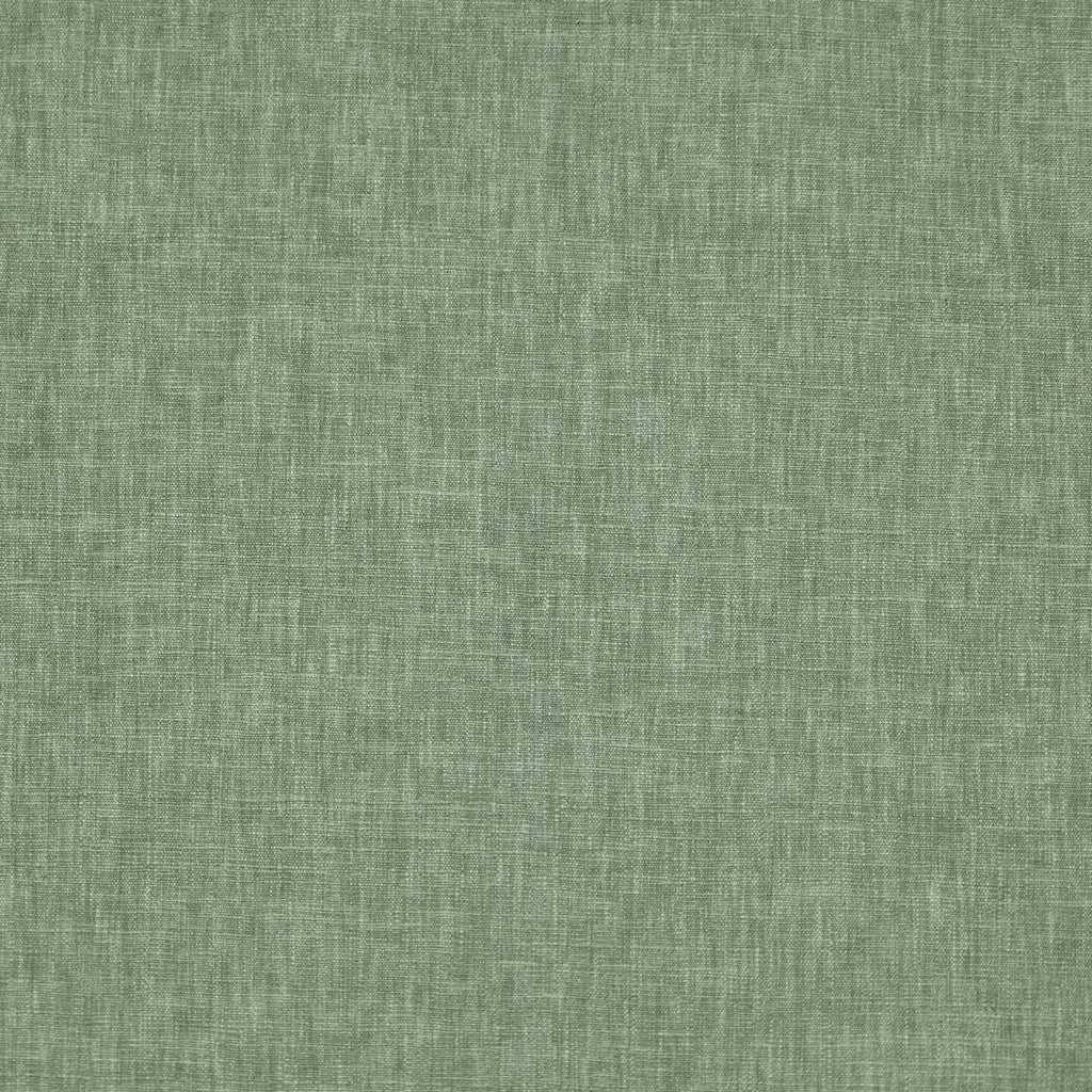Iceland Myrtle