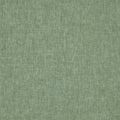 Iceland Myrtle