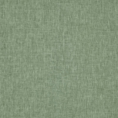 Iceland Myrtle