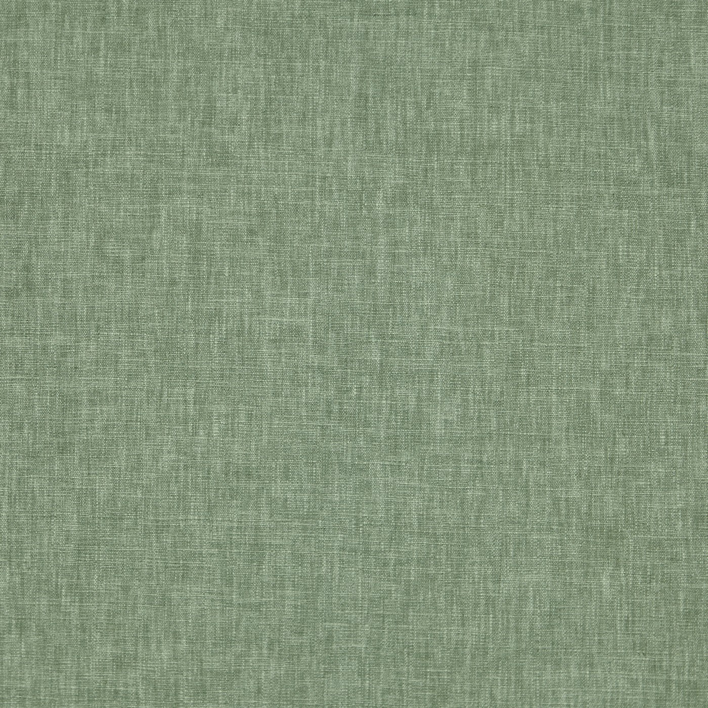 Iceland Myrtle