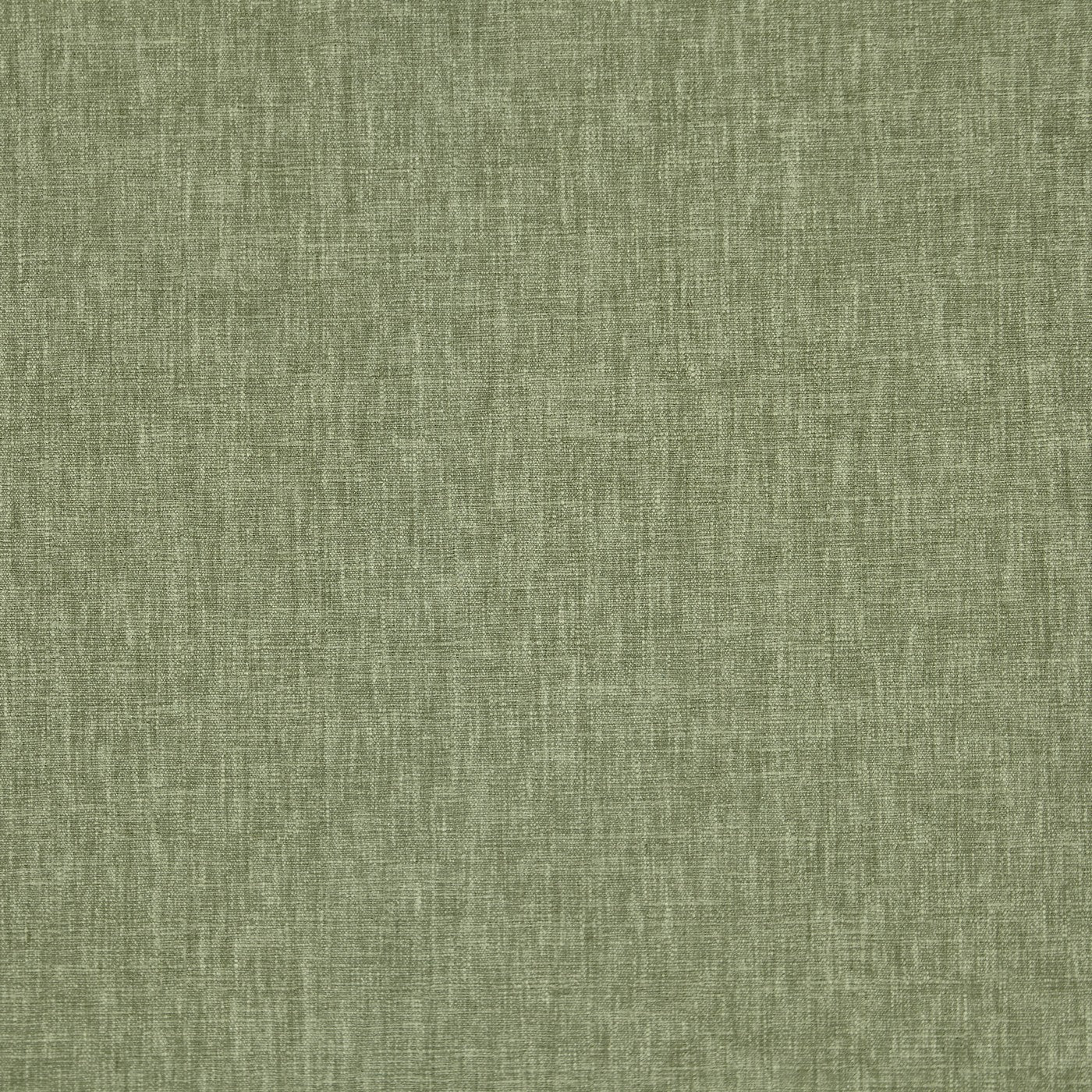 Iceland Sage