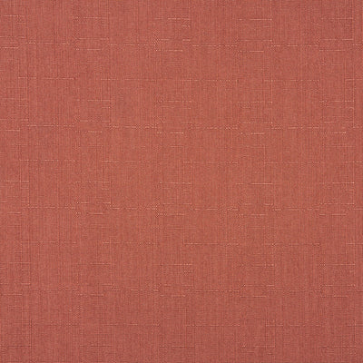 Stockholm Ember
