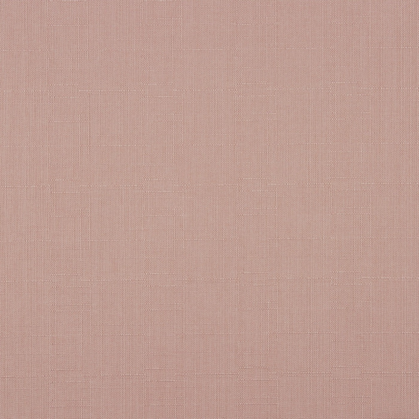Stockholm Clover