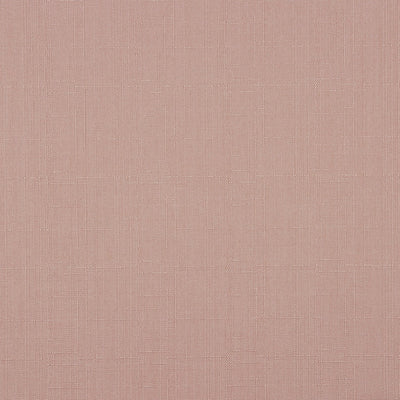 Stockholm Clover