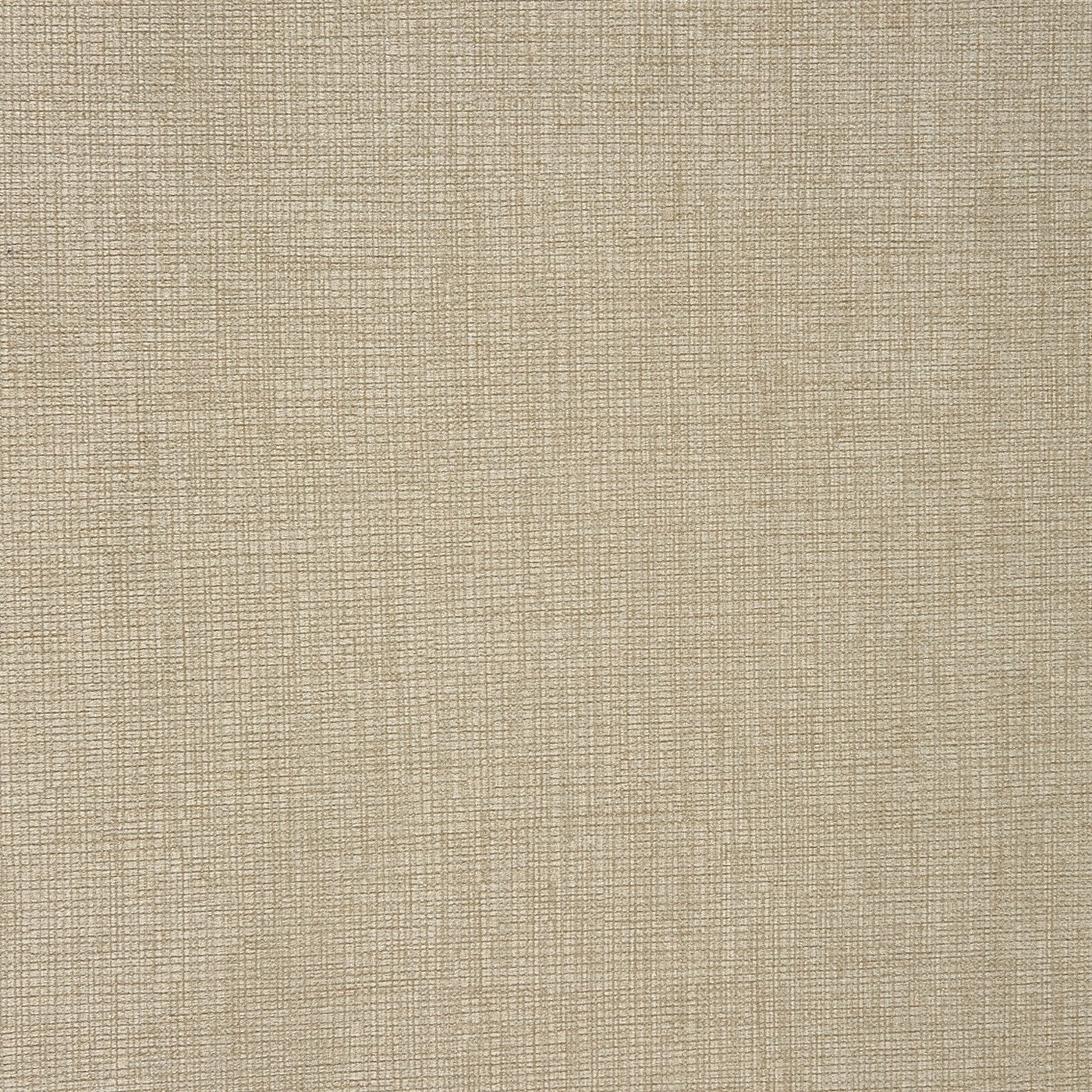 Concept Parchment