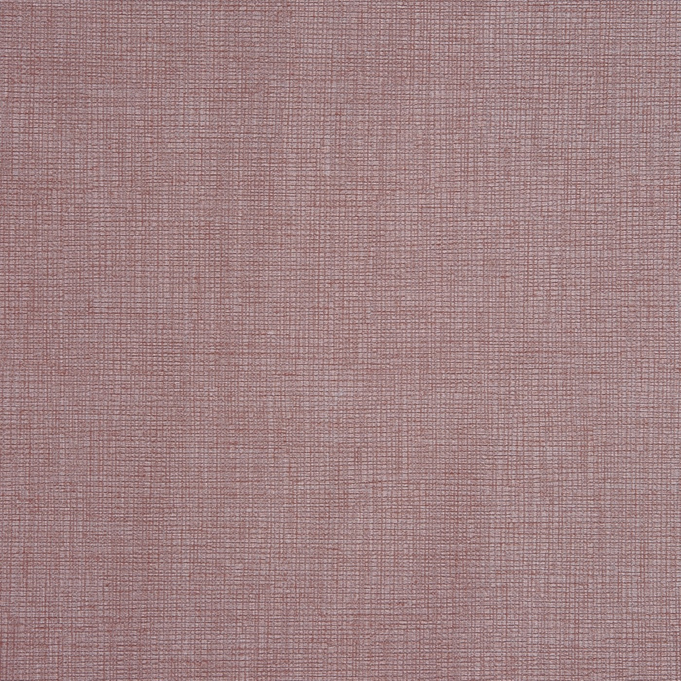 Concept Rose Water