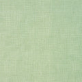Concept Eucalyptus