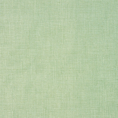 Concept Eucalyptus