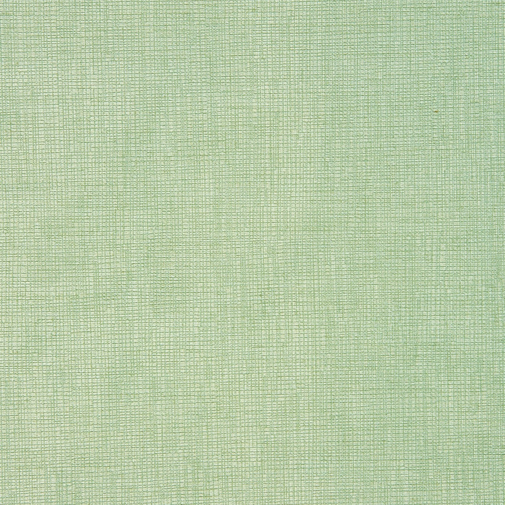 Concept Eucalyptus
