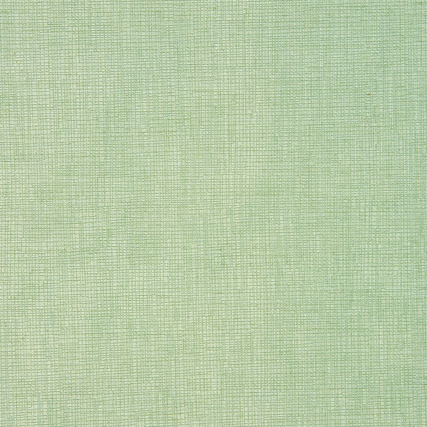Concept Eucalyptus