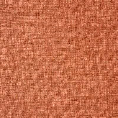 Concept Mandarin