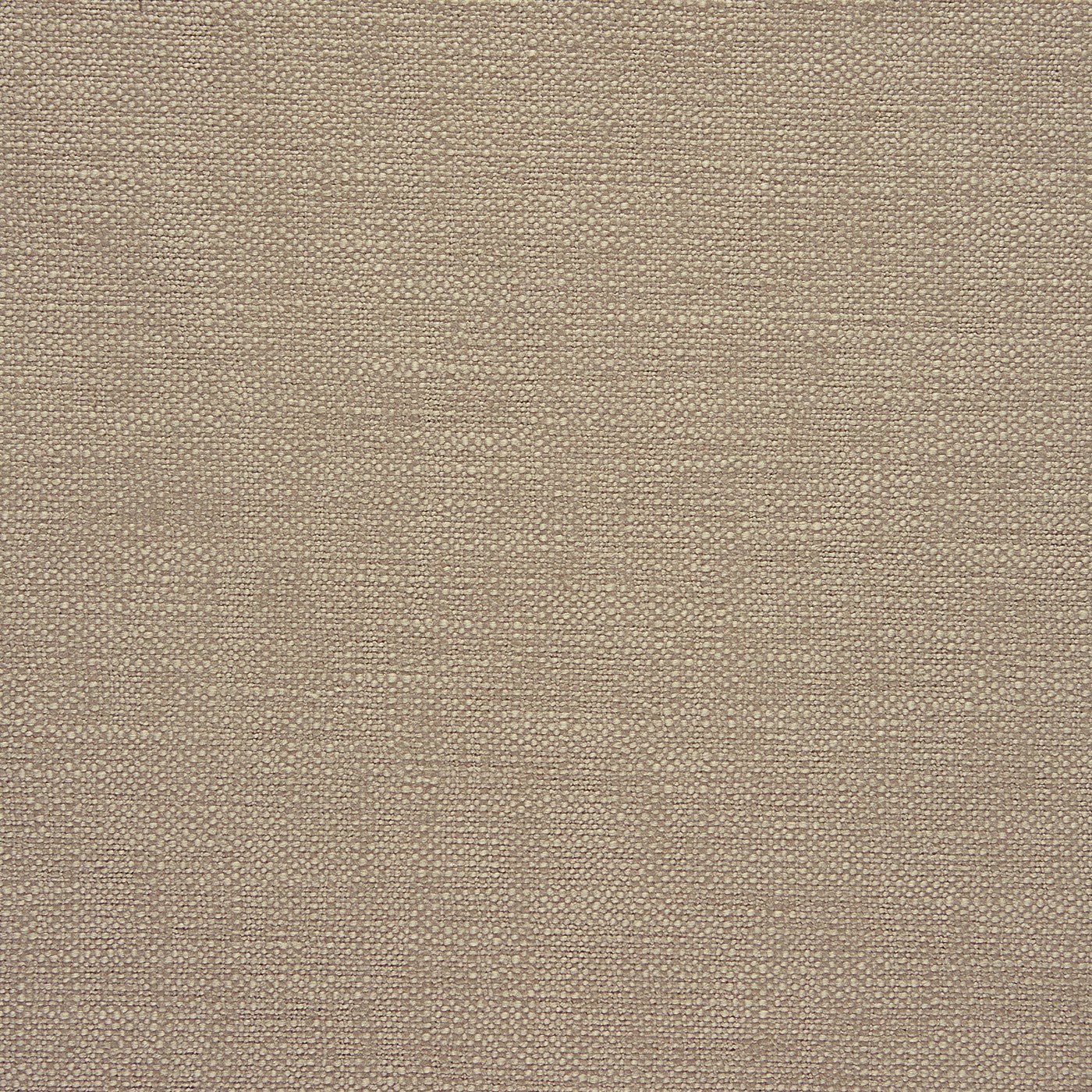 Rustic Pumice