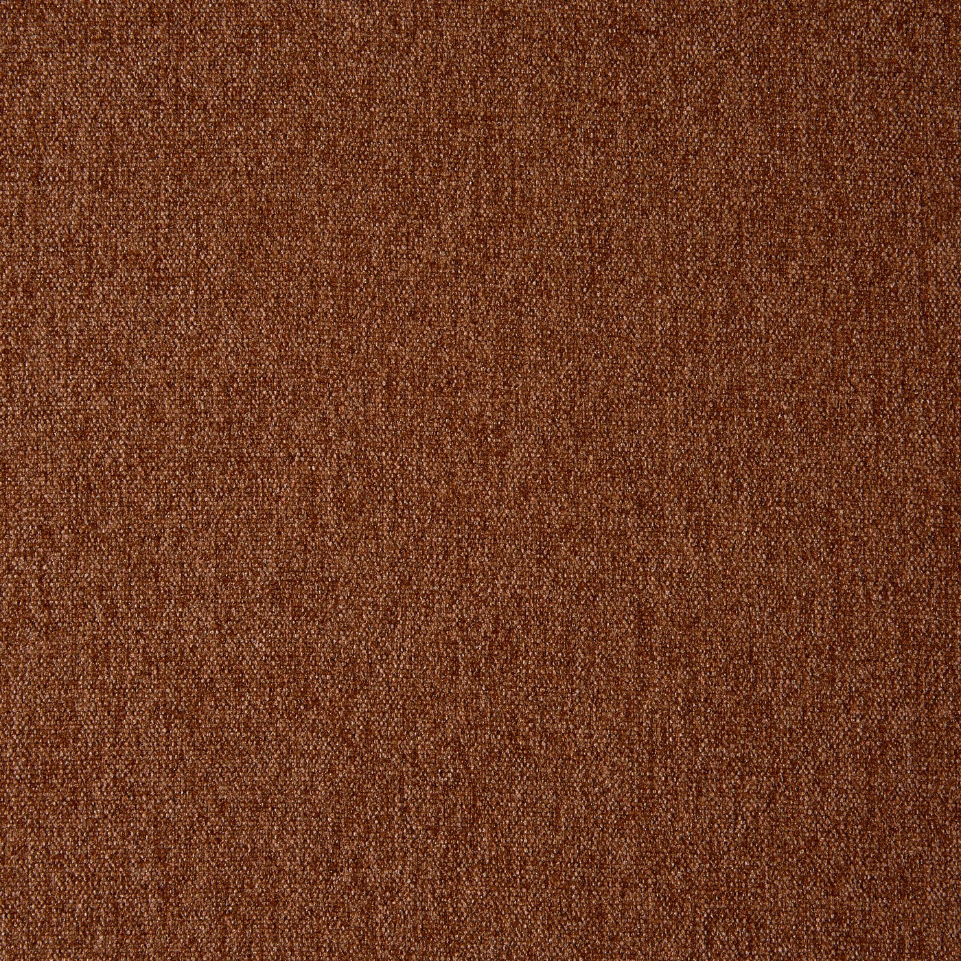 Stamford Cinnamon