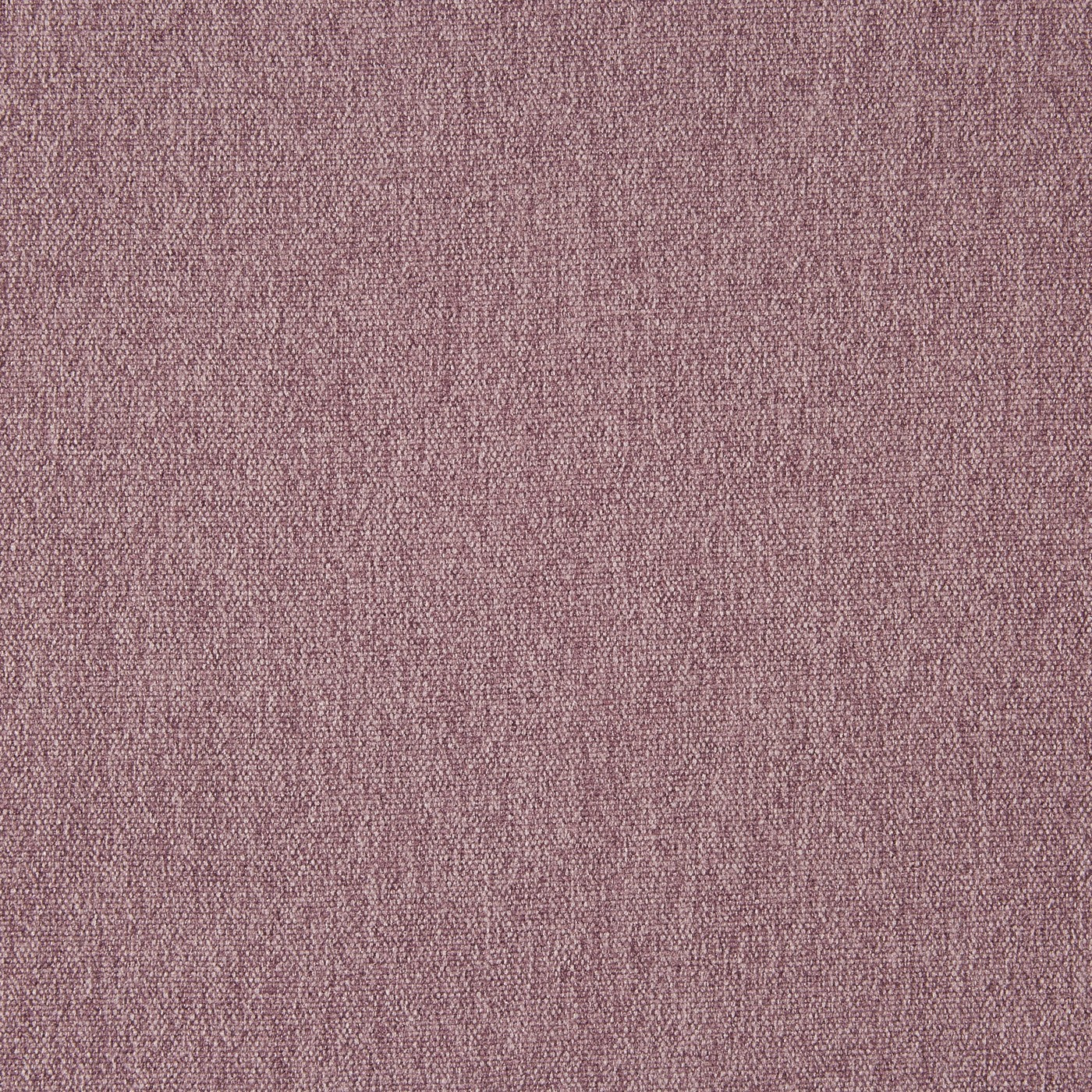 Stamford Heather