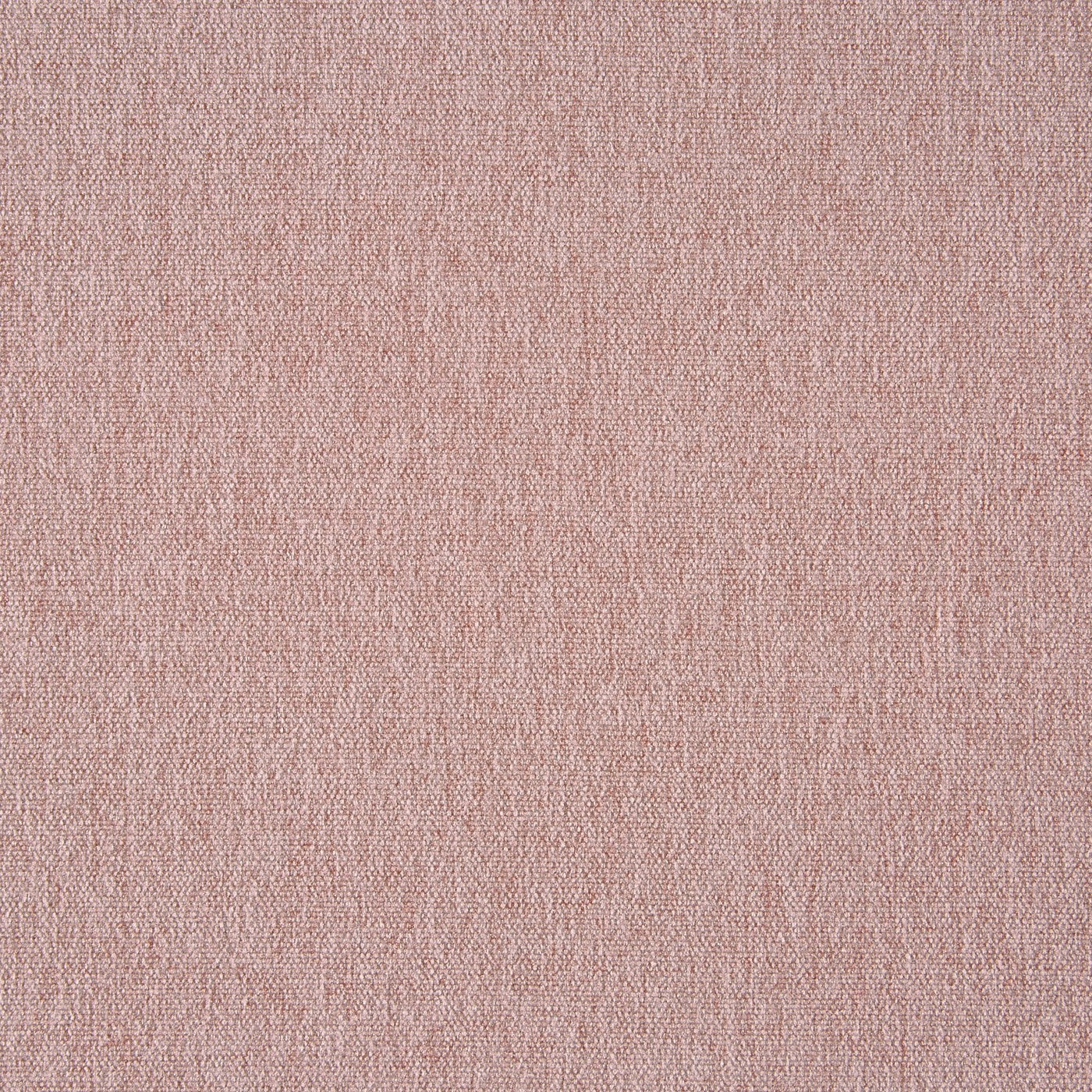 Stamford Petal