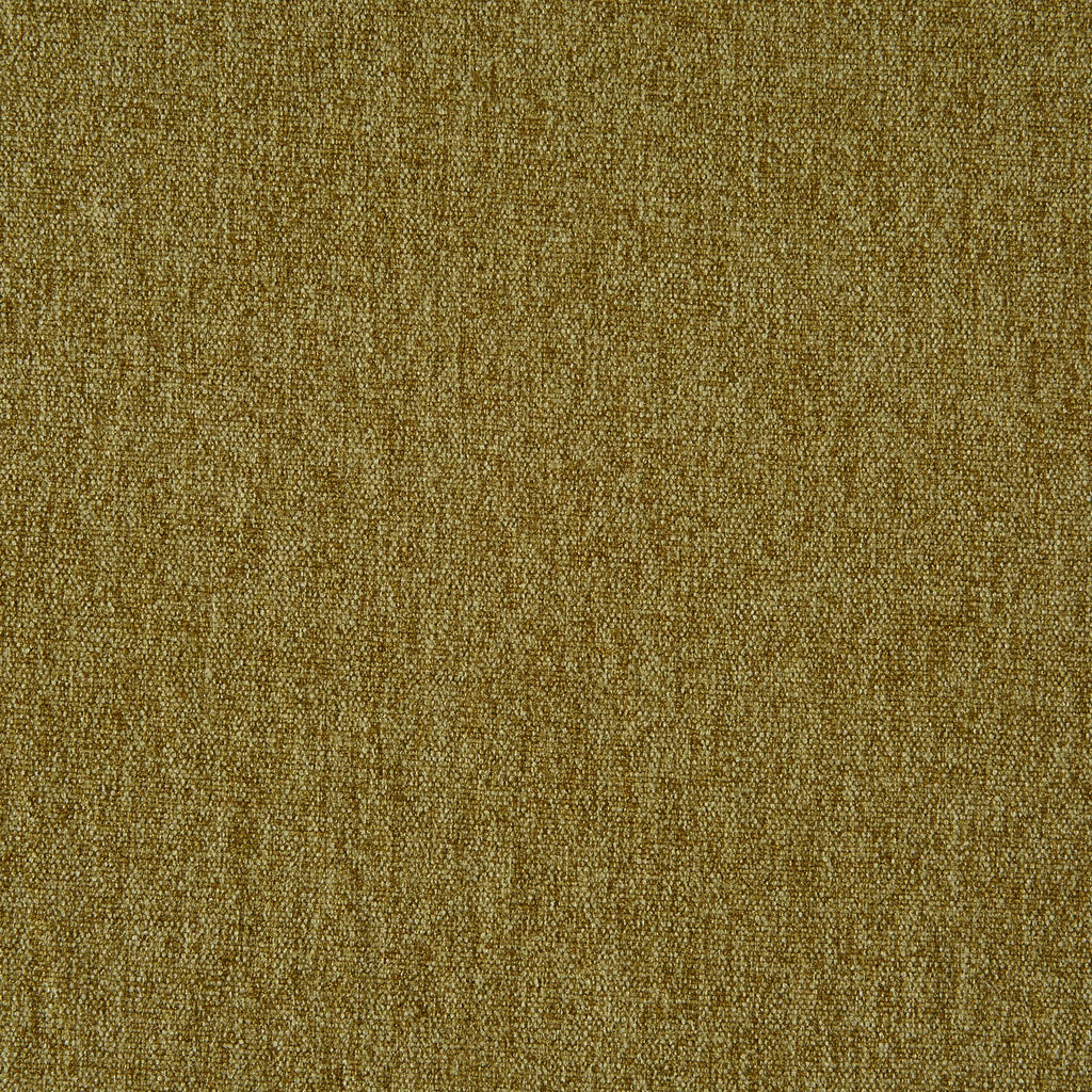 Stamford Grass