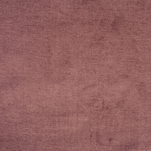 Bravo Dark Rose