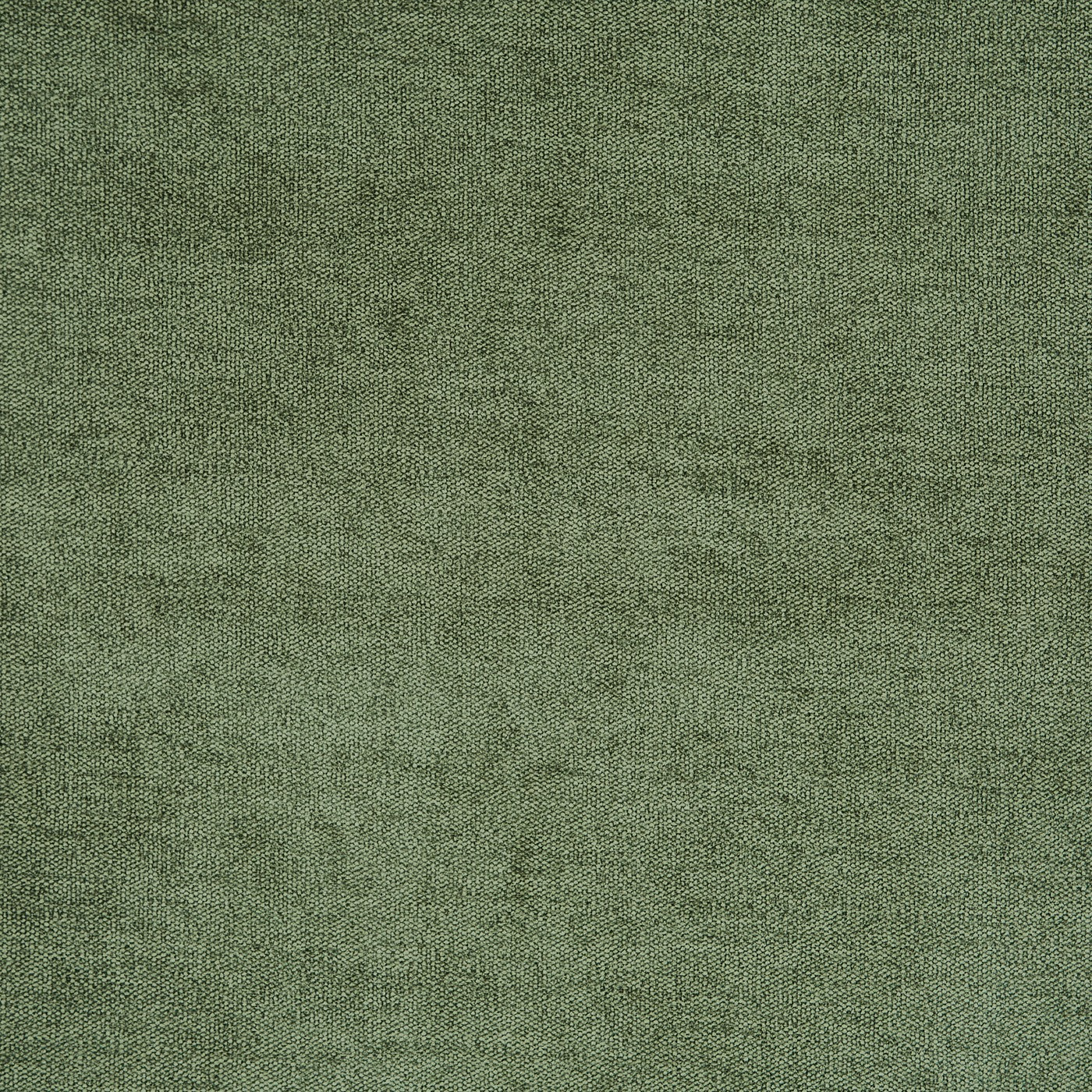 Bravo Eucalyptus