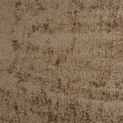York Walnut