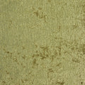 York Olive